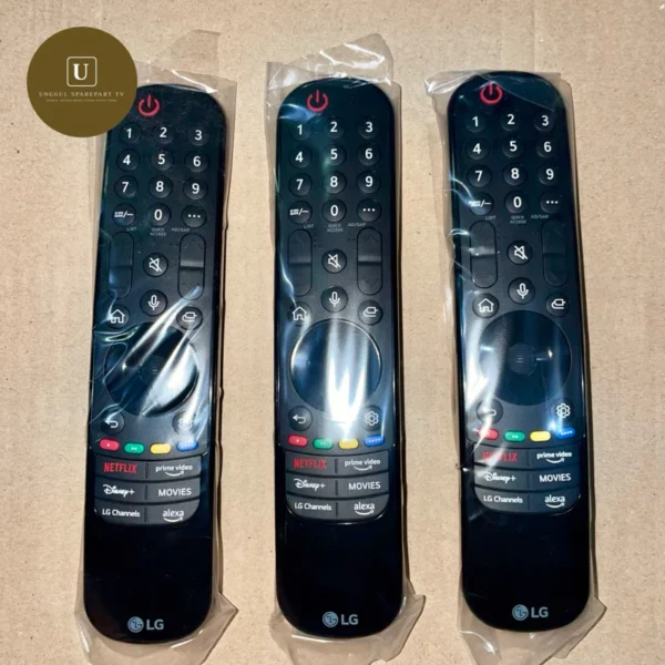Remote LG MR24GA